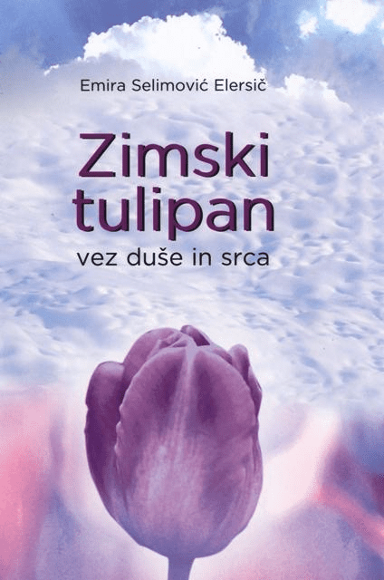 Zimski tulipan