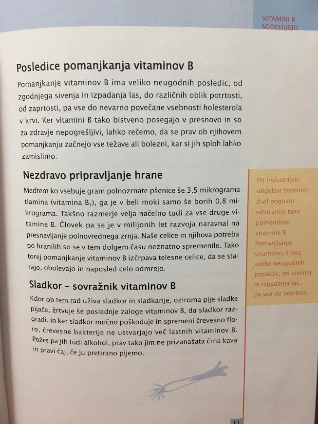 Organski B COMPLEX z dodanim C vitaminom