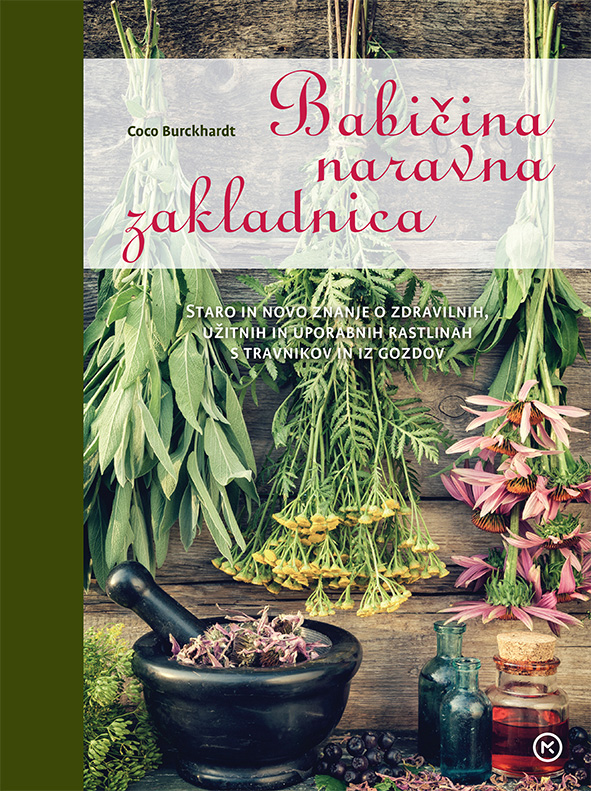 Babičina naravna zakladnica