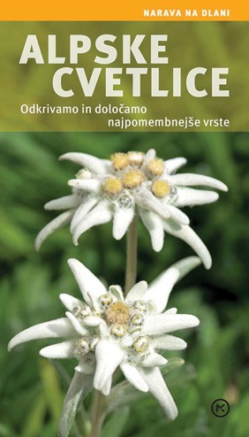 Alpske cvetlice: odkrivamo in določamo najpomembnejše vrste