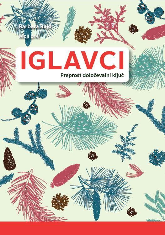 Moji prvi iglavci, preprost določevalni ključ