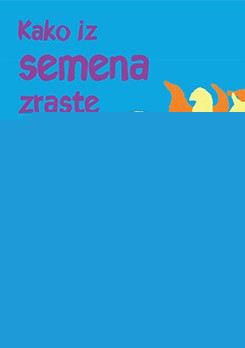 Kako iz semena zraste sončnica