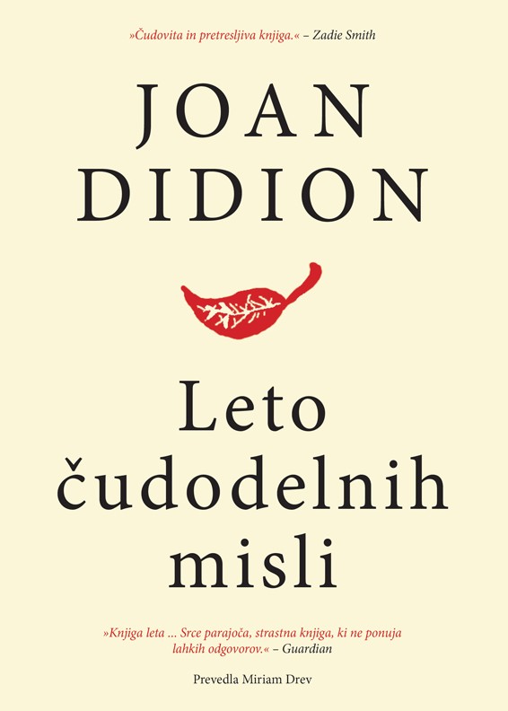 Leto čudodelnih misli