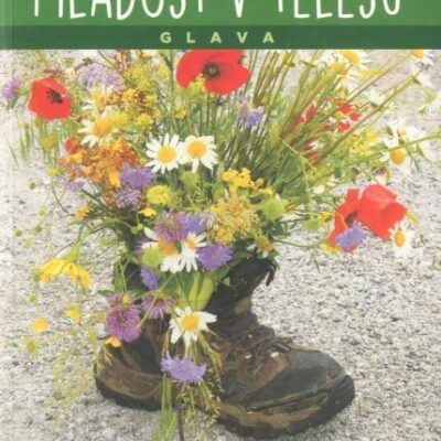 Mladost v telesu - glava