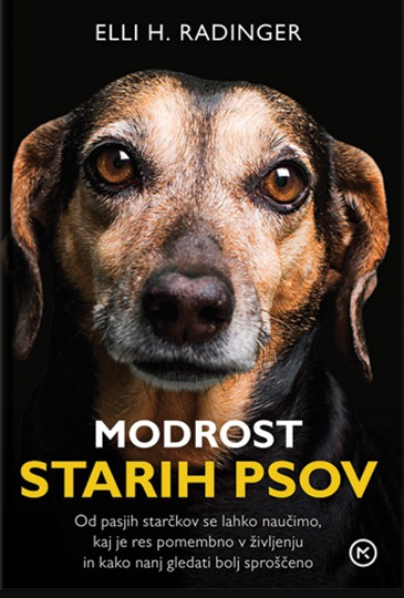 Modrost starih psov