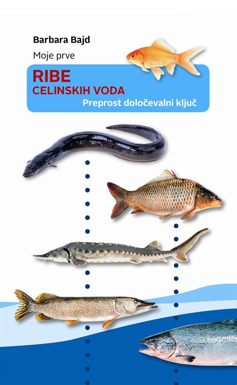 Moje prve ribe celinskih voda
