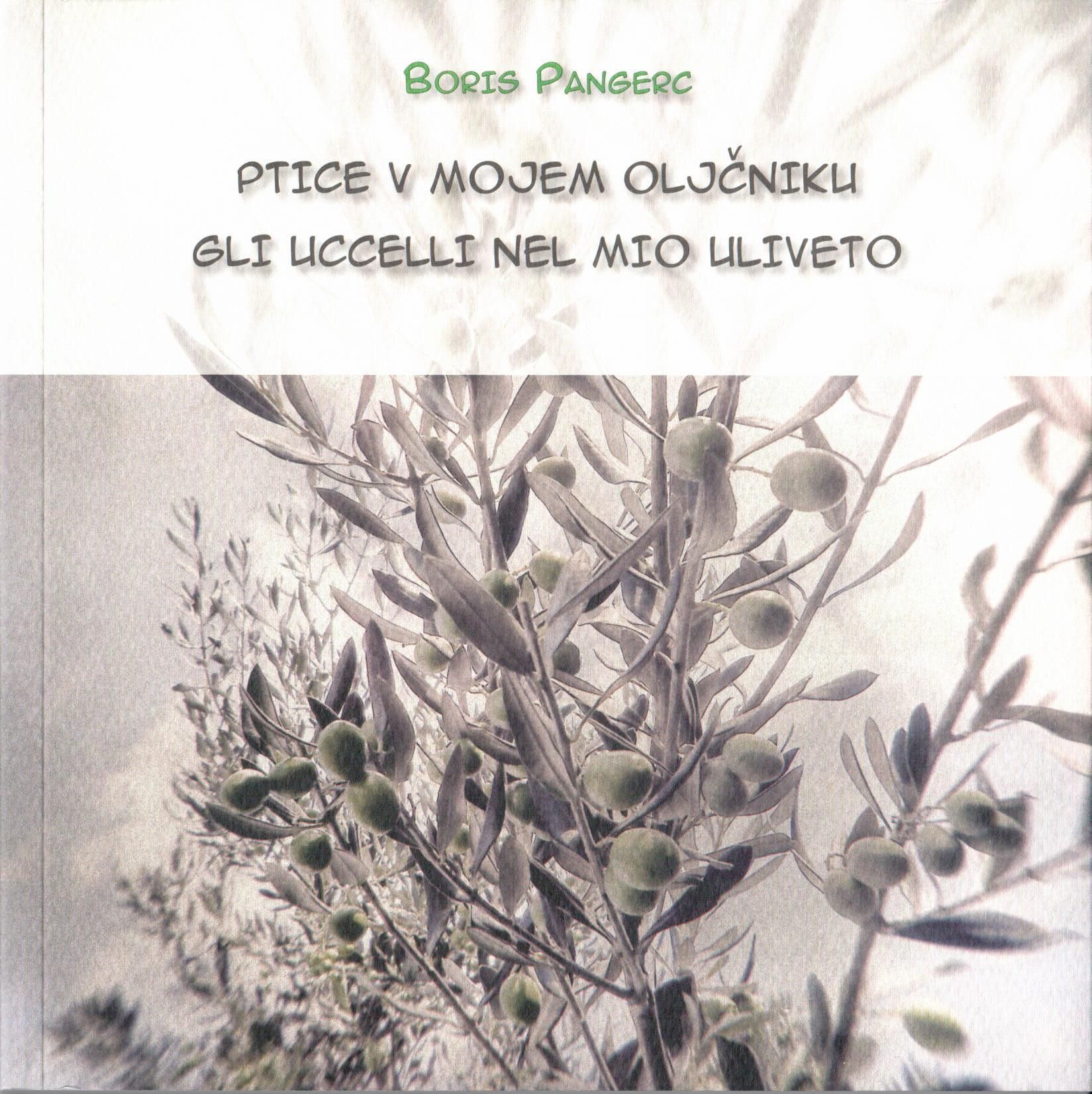 Ptice v mojem oljčniku - Gli ucceli nel mio uliveto