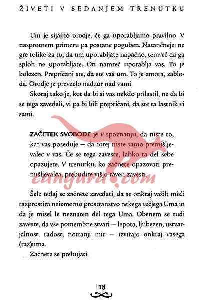 Živeti v sedanjem trenutku