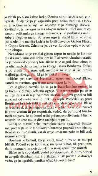 Prerokba - Romani Grlica (trda vezava)