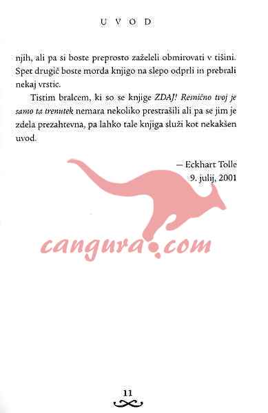 Živeti v sedanjem trenutku