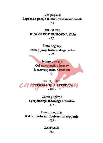 Živeti v sedanjem trenutku