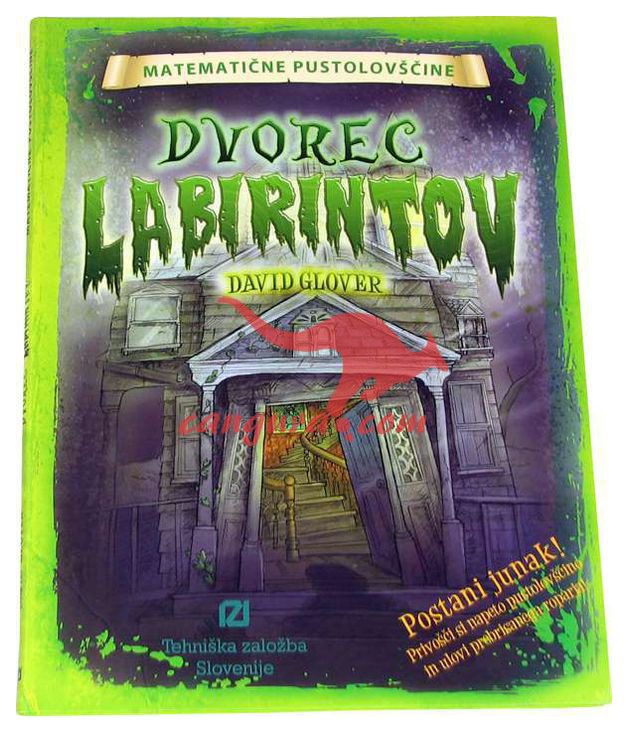 Matematične pustolovščine - Dvorec labirintov