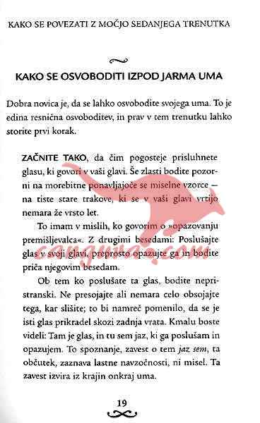 Živeti v sedanjem trenutku