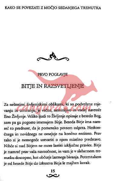 Živeti v sedanjem trenutku