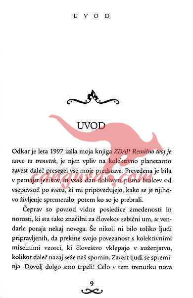 Živeti v sedanjem trenutku