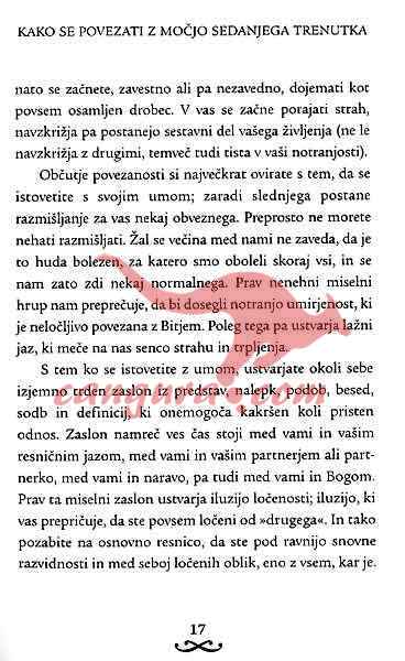 Živeti v sedanjem trenutku