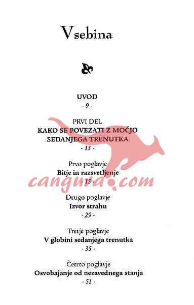 Živeti v sedanjem trenutku