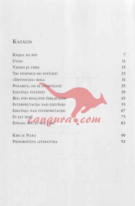 Bog - Navodila za uporabo - O naravi odnosov, svetosti, iluziji in risalnem žebljičku