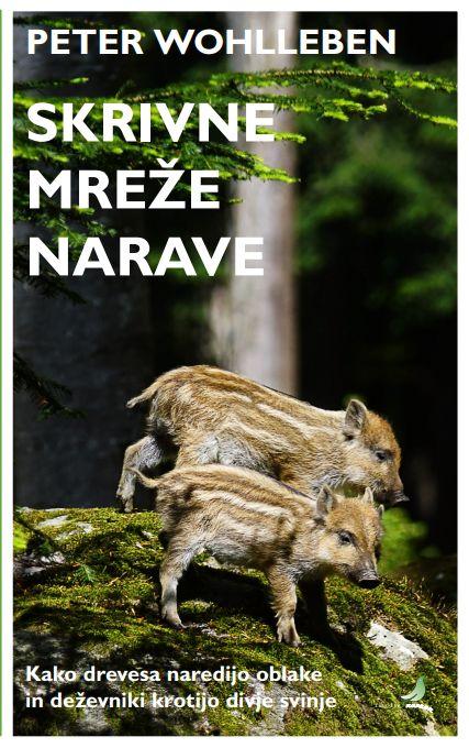 Skrivne mreže narave