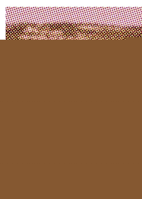 Zgodbe slovenske arhitekture