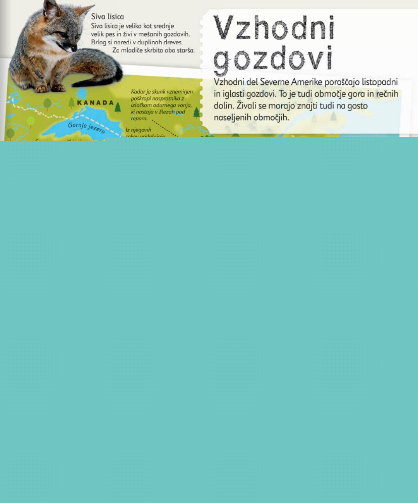 Otroški ilustrirani atlas živali