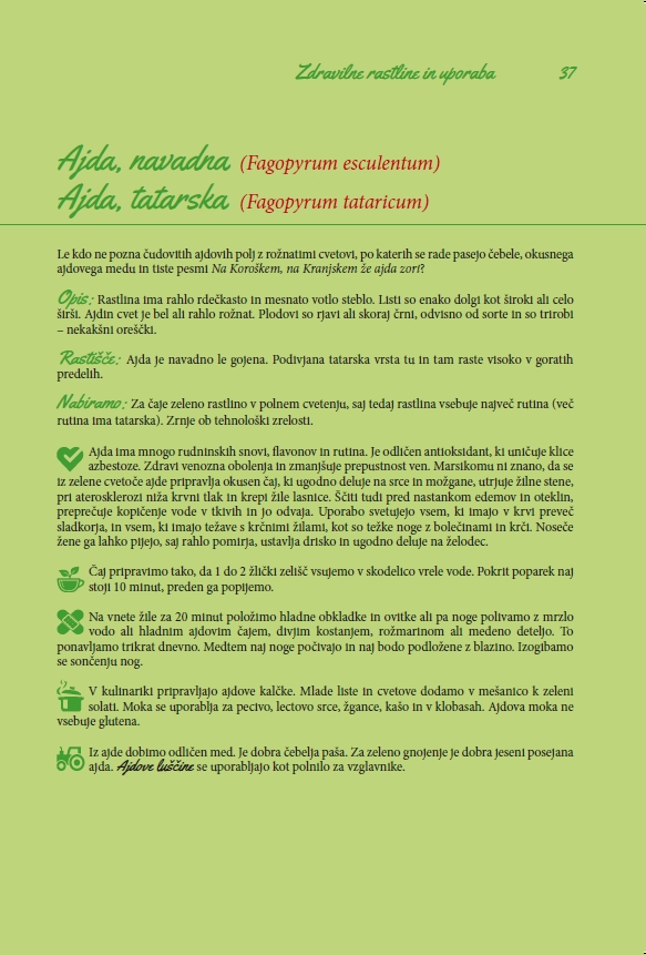 Čaji dobre misli Terezije Nikolčič - 101 zelišče za ljudi in živali -TV