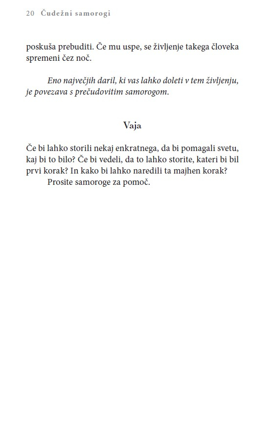 Čudežni samorogi