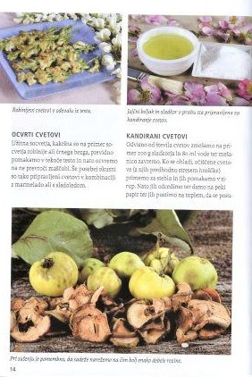 Naša užitna drevesa in grmi