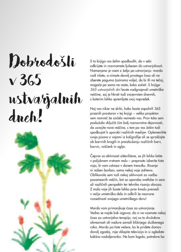 365 ustvarjalnih dni