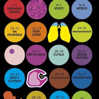 Človeško telo – infografike