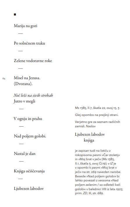 Vsem naj bom neznan, 1. knjiga