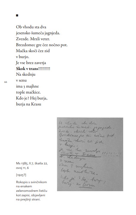 Vsem naj bom neznan, 1. knjiga