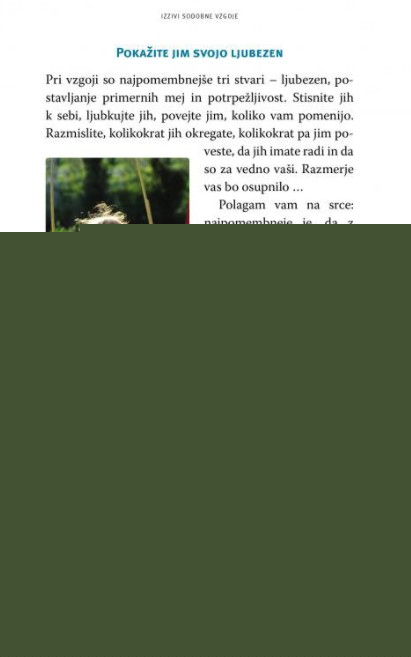Izzivi sodobne vzgoje