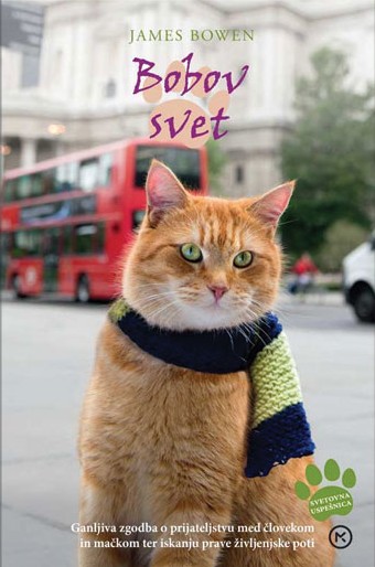 Bobov svet