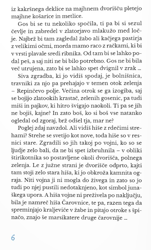 Repinčevo polje