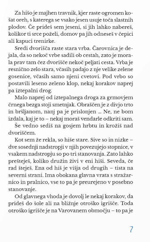 Repinčevo polje