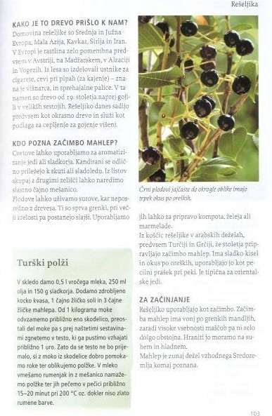 Naša užitna drevesa in grmi