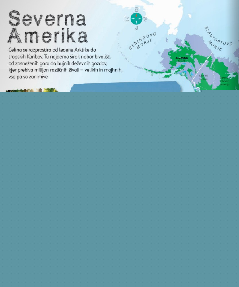 Otroški ilustrirani atlas živali