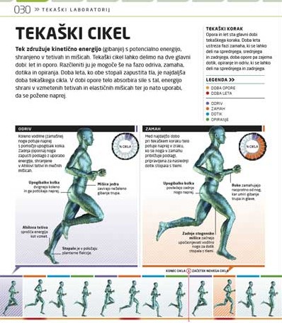 Tek in maraton: popolni vodnik