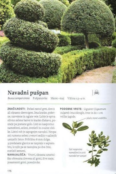 Naša užitna drevesa in grmi