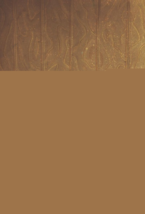 Nove dogodivščine v Pravljičariji