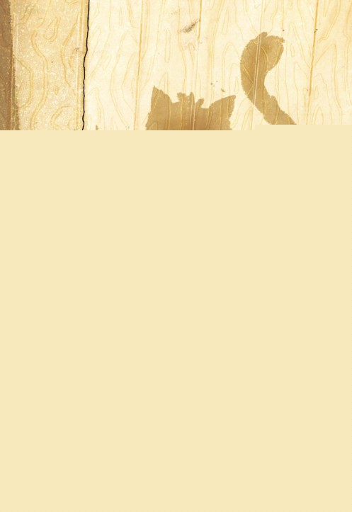 Nove dogodivščine v Pravljičariji