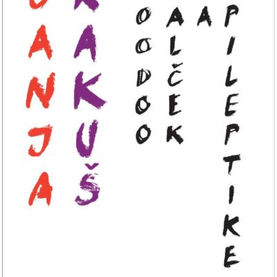 Voodoo valček za epileptike - Hipergrafično Romanje v 36 urah