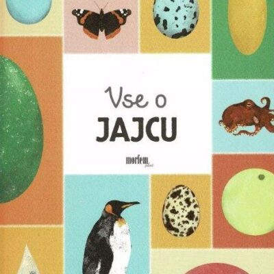 Vse o jajcu
